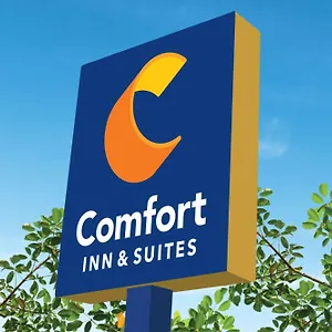 Comfort & Hotel